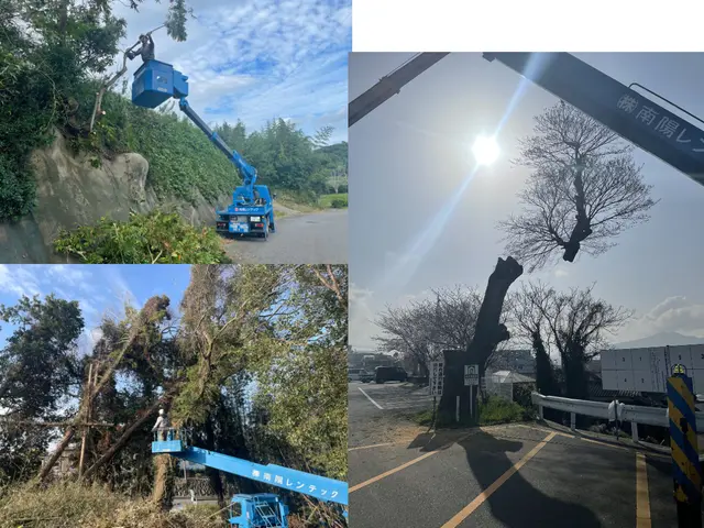 ★技能講習受講者で安心★クレーンが入らなくてもロープで安全対応★高木もおまかせサービスの画像