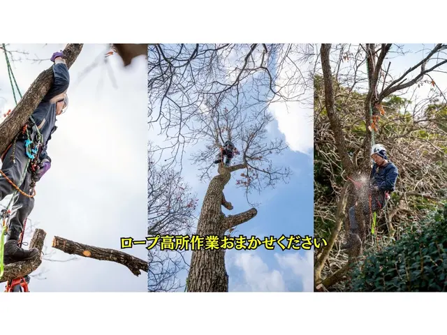 ★技能講習受講者で安心★クレーンが入らなくてもロープで安全対応★高木もおまかせサービスの画像