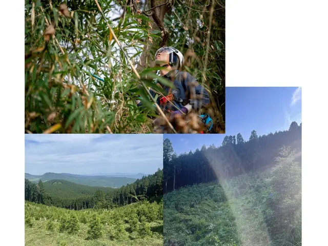 ★技能講習受講者で安心★クレーンが入らなくてもロープで安全対応★高木もおまかせサービスの画像