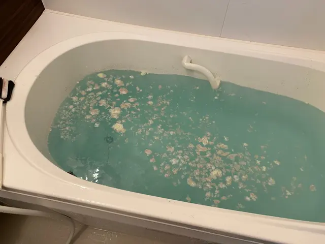 【風呂釜洗浄技術取得店】特許薬剤で浴室追い焚き配管除菌洗浄★他店の洗浄との違いをサービスの画像