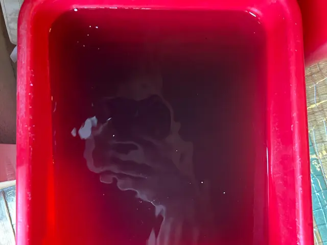 ◎小さなお子様やペットに安心な洗剤も使用可能！サービスの画像