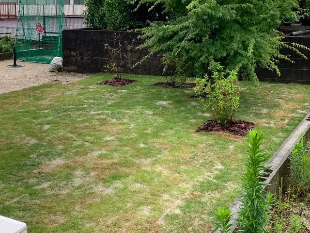 「見積り・相談無料」　◆お庭の芝張り承ります！サービスの画像