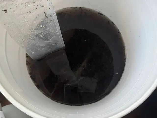 ★消臭抗菌コート無料★★追加料金ゼロの安心価格★★★２台目以降は割引実施中サービスの画像