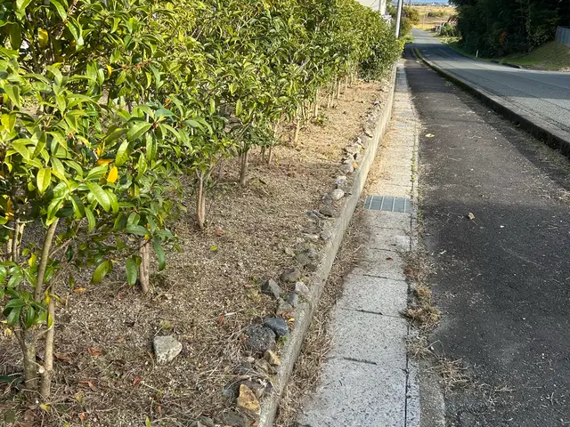 即日対応可能、営業時間外も相談OK！作業外注一切なしで自社スタッフが対応しますサービスの画像