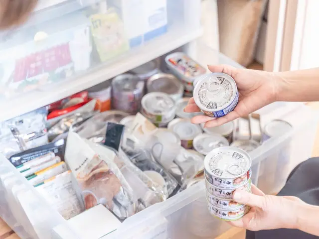 片付け専門【とにかく楽になりたい方に】本人お伺い/訪問200件以上/お得プラン有サービスの画像