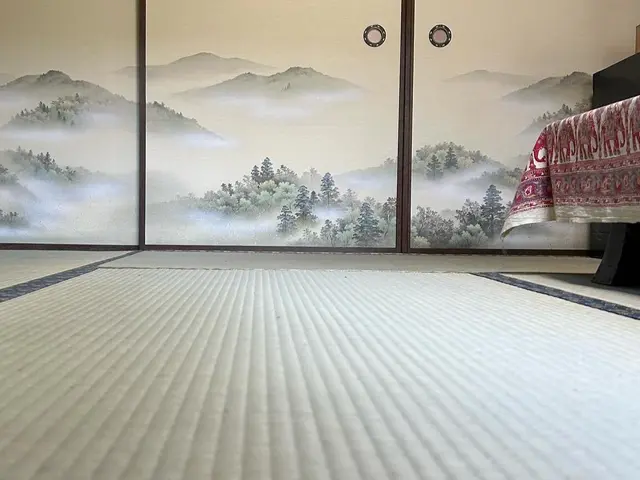 畳張替え（表替え）サービスの画像