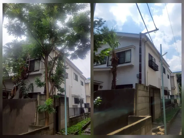 [お見積り無料]お庭を明るく変身させる伐採抜根。高木、太い幹もお任せください！サービスの画像