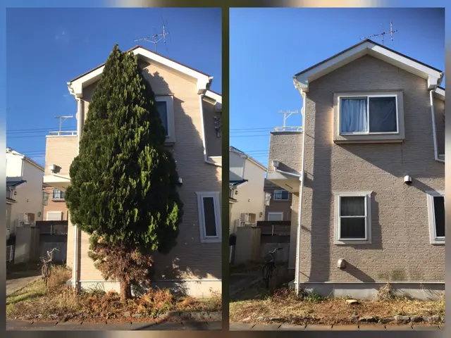 [お見積り無料]お庭を明るく変身させる伐採抜根。高木、太い幹もお任せください！サービスの画像