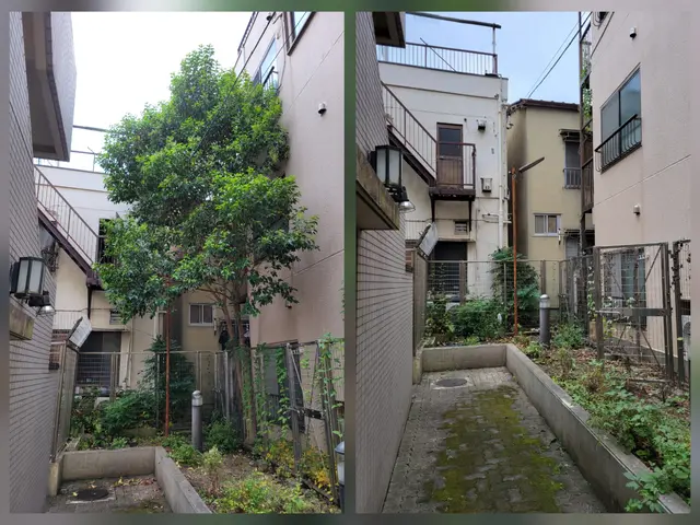 [お見積り無料]お庭を明るく変身させる伐採抜根。高木、太い幹もお任せください！サービスの画像