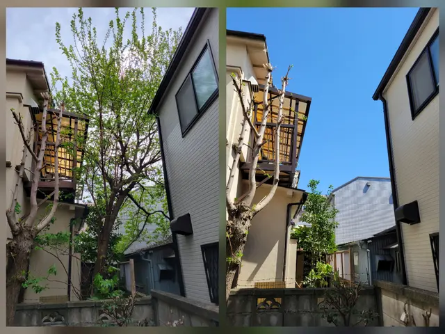 [お見積り無料]お庭を明るく変身させる伐採抜根。高木、太い幹もお任せください！サービスの画像