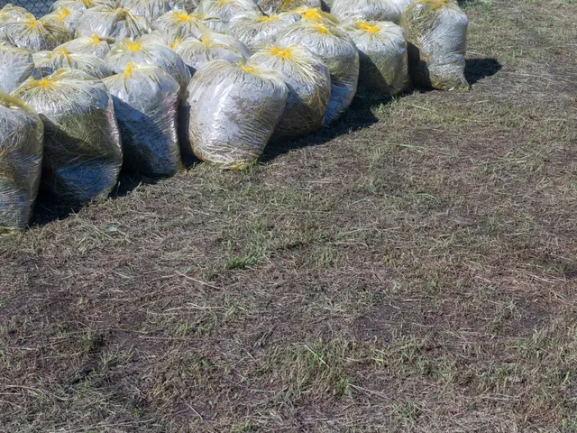 自社スタッフによる丁寧な作業で好評をいただいていますサービスの画像