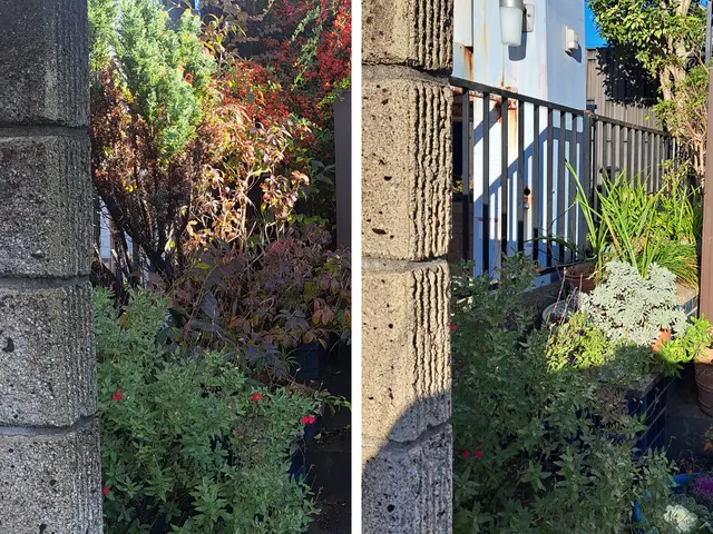 エリア担当が伺います！最短当日！倒木する前に撤去しましょう！サービスの画像