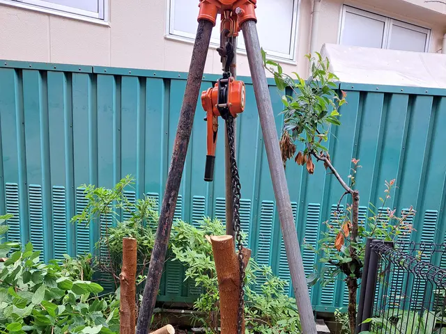 エリア担当が伺います！最短当日！倒木する前に撤去しましょう！サービスの画像