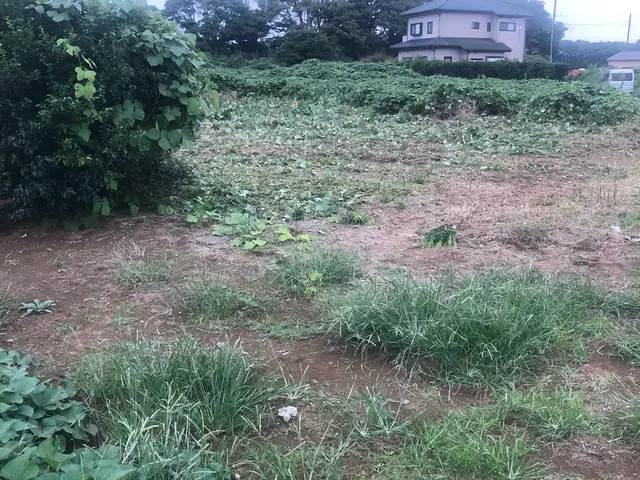 【年中無休】ハンマーナイフ草刈り◆女性スタッフ同行OKサービスの画像