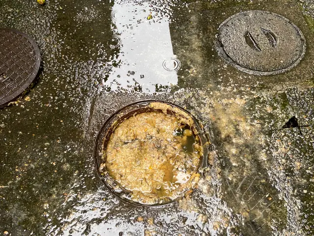 汚水枡の洗浄、排水管の汚れを高圧洗浄清掃、室内各排水管洗浄または薬剤洗浄。サービスの画像