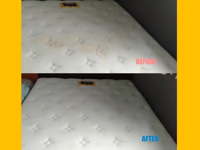 【マスク対応実施中】専用機材で綺麗に！お客様宅での出張マットレスクリーニング！サービスの画像