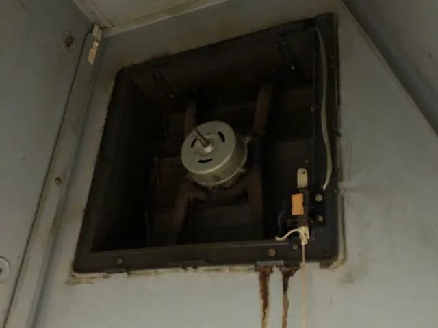 【除菌してから入退室します】お子様やペットも安心な洗剤使用！キャッシュレスOK!サービスの画像