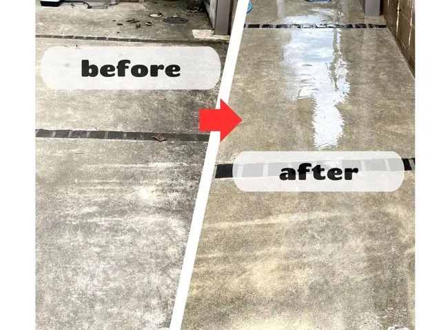 【古びたカーポートも美しく】高圧洗浄に頼らず薬品と手作業で❢サービスの画像