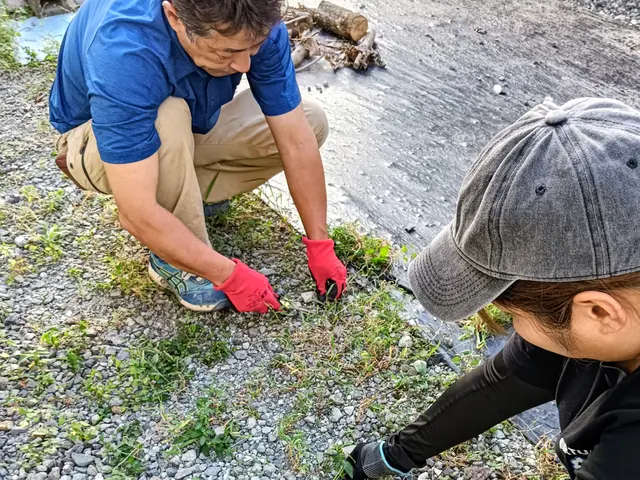 《手作業の草むしり》◆必ず夫婦2人でお伺いします！◆対応地域外もご相談下さい！サービスの画像