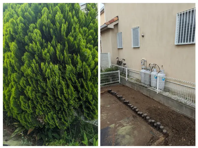 庭木の伐採、抜根承ります。ご気軽にご相談下さい。サービスの画像