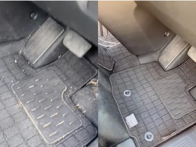 嘔吐・尿汚れの“臭い戻り”まで考えた車内清掃サービスの画像