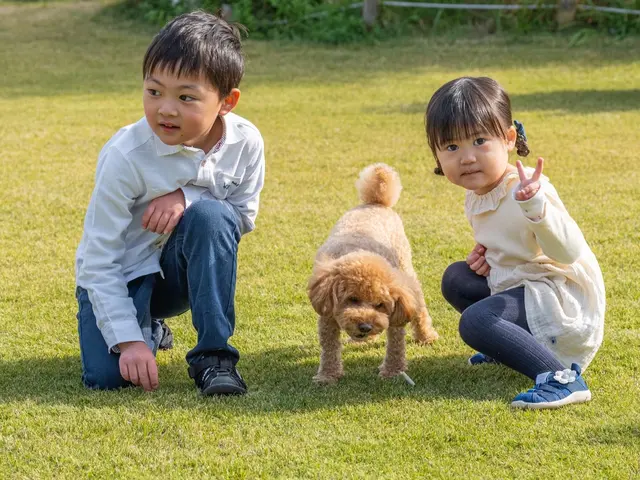 プロの技術でご満足いただけるように心を込めて撮影いたします