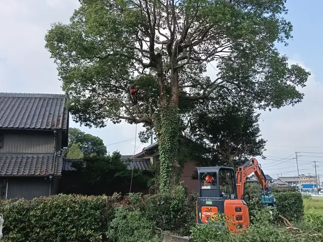 経験27年超のプロが手際よく仕上げる、お庭のケアサービスの画像