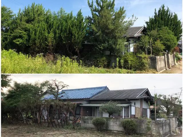 いつもありがとうございます。10、11、12月は完売いたしました。サービスの画像