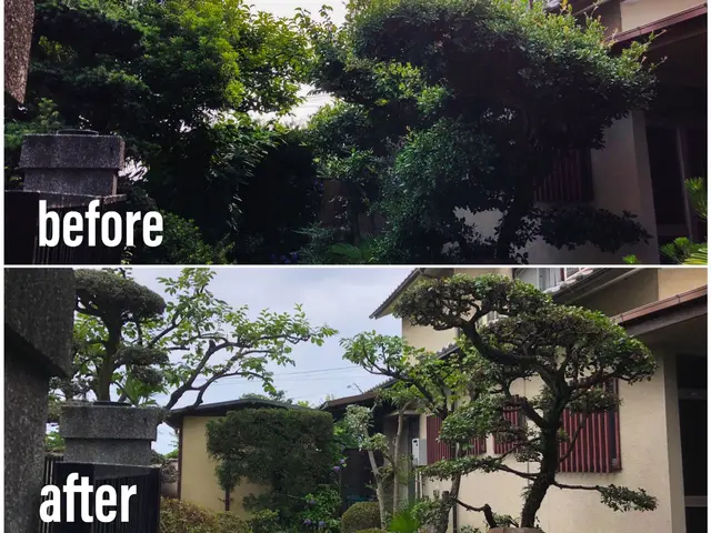 いつもありがとうございます。10、11、12月は完売いたしました。サービスの画像