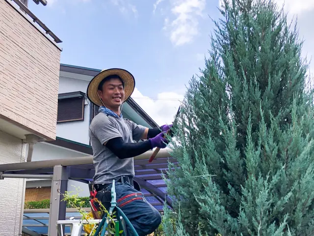 いつもありがとうございます。10、11、12月は完売いたしました。サービスの画像