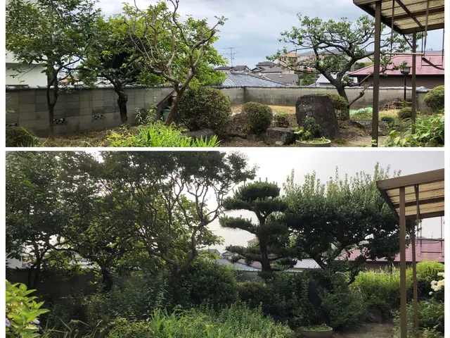 いつもありがとうございます。10、11、12月は完売いたしました。サービスの画像