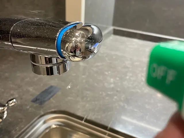 虫がわきやすいこの時期に防虫施工をしておきませんか？サービスの画像