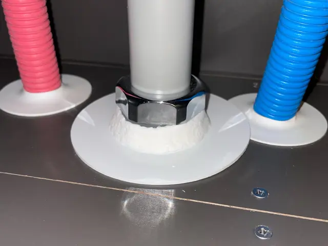 虫がわきやすいこの時期に防虫施工をしておきませんか？サービスの画像