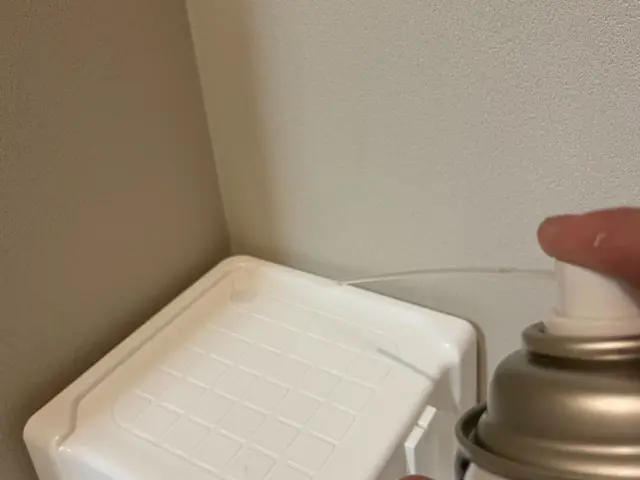 虫がわきやすいこの時期に防虫施工をしておきませんか？サービスの画像