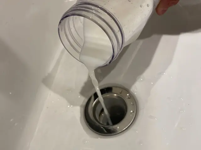 虫がわきやすいこの時期に防虫施工をしておきませんか？サービスの画像