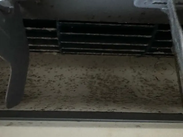 冷房の使い終わりや秋口はカビが繁殖するタイミングです。お早めのクリーニングを！サービスの画像