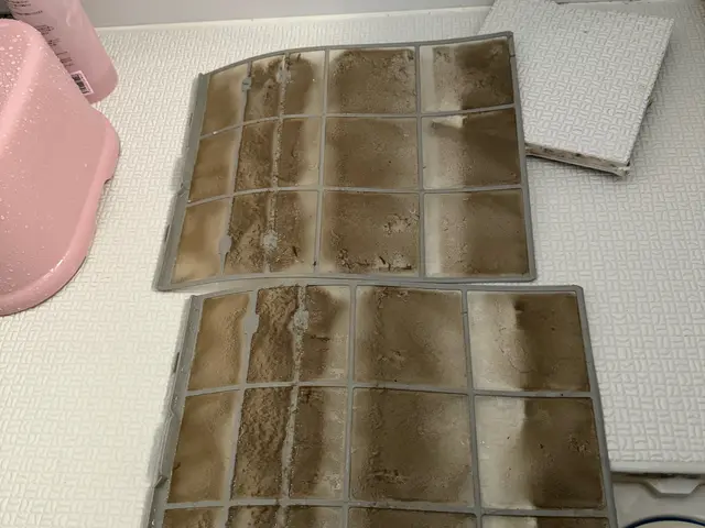 冷房の使い終わりや秋口はカビが繁殖するタイミングです。お早めのクリーニングを！サービスの画像