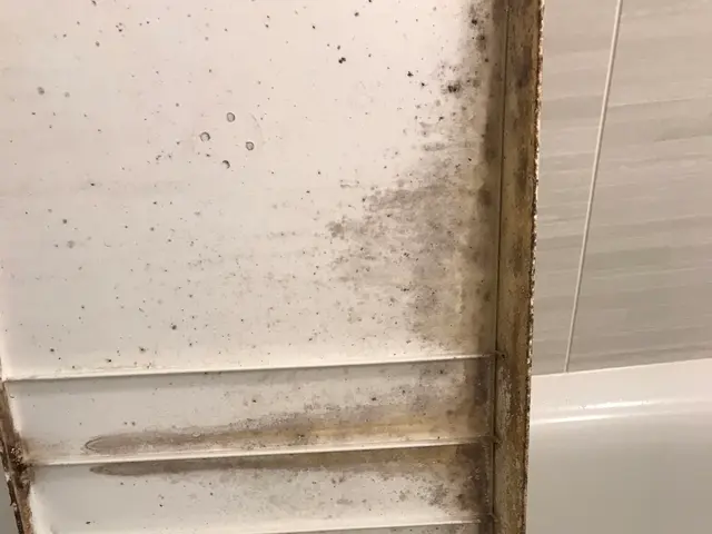 【駐車代お店負担◎】ご家庭では落とせない汚れをプロの技術で徹底的に除去します！サービスの画像