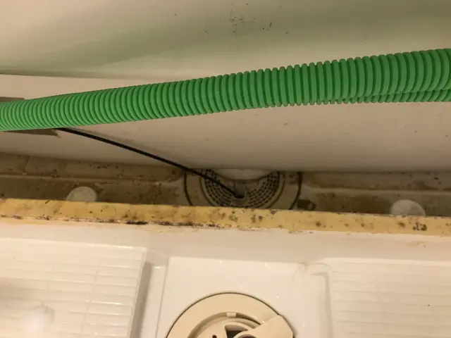 【駐車代お店負担◎】ご家庭では落とせない汚れをプロの技術で徹底的に除去します！サービスの画像