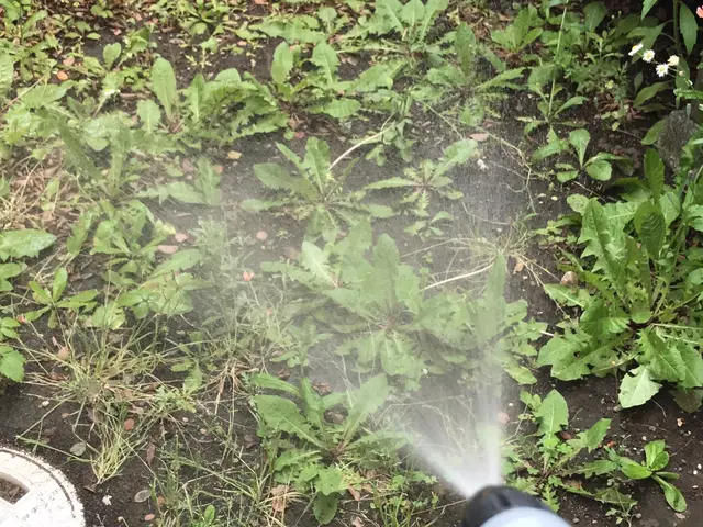 見積無料【徹底駆除】適正価格／実績多数／カード対応／損保加入／プライバシー厳守サービスの画像