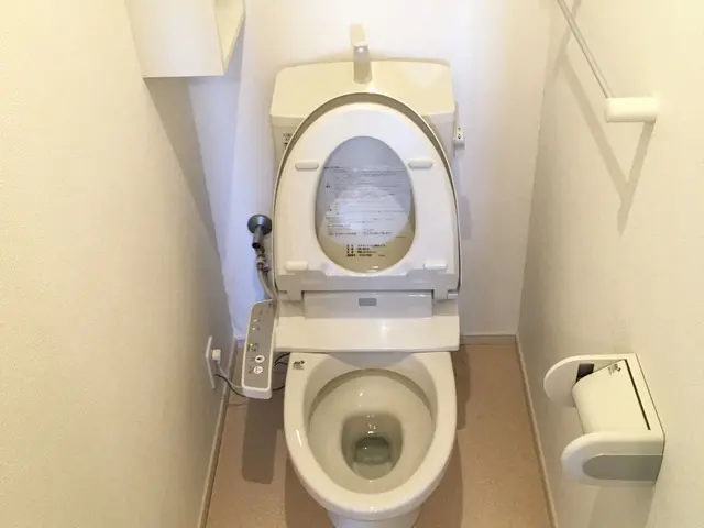 ☆業界老舗・日本ハウスクリーニング協会会員のハウスクリーニング士が伺います☆サービスの画像