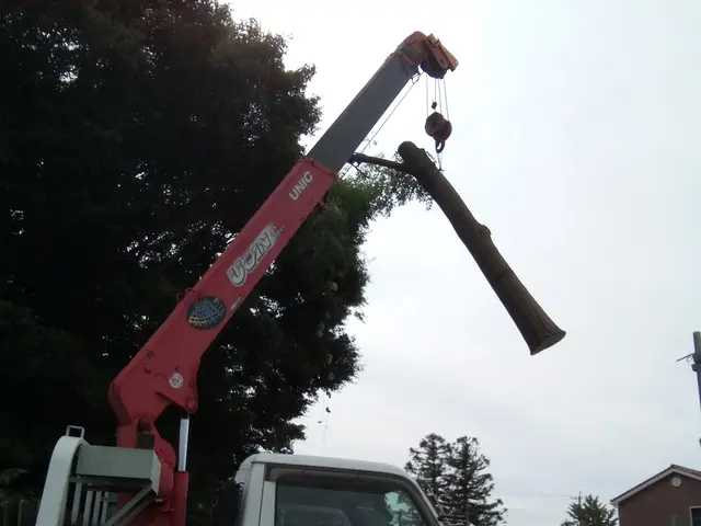 ☆庭木の剪定・伐採・抜根・草刈り作業　お任せください。　損害保険加入済みで安心◎サービスの画像