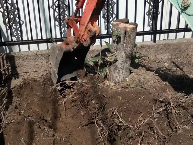 ☆庭木の剪定・伐採・抜根・草刈り作業　お任せください。　損害保険加入済みで安心◎サービスの画像