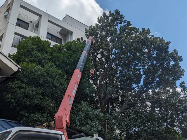 ☆庭木の剪定・伐採・抜根・草刈り作業　お任せください。　損害保険加入済みで安心◎サービスの画像