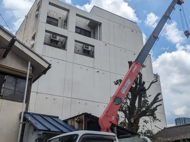 ☆庭木の剪定・伐採・抜根・草刈り作業　お任せください。　損害保険加入済みで安心◎サービスの画像