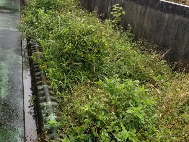 100%自社対応◎お客様が喜んでくれるよう、一生懸命きれいに作業させてもらいますサービスの画像