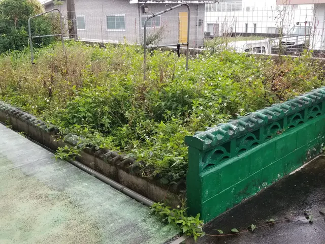 100%自社対応◎お客様が喜んでくれるよう、一生懸命きれいに作業させてもらいますサービスの画像