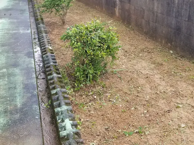 100%自社対応◎お客様が喜んでくれるよう、一生懸命きれいに作業させてもらいますサービスの画像