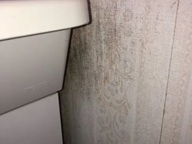 コミュニケーションを大切にしています★汚れに合わせた洗剤使用★ワックス無料★サービスの画像