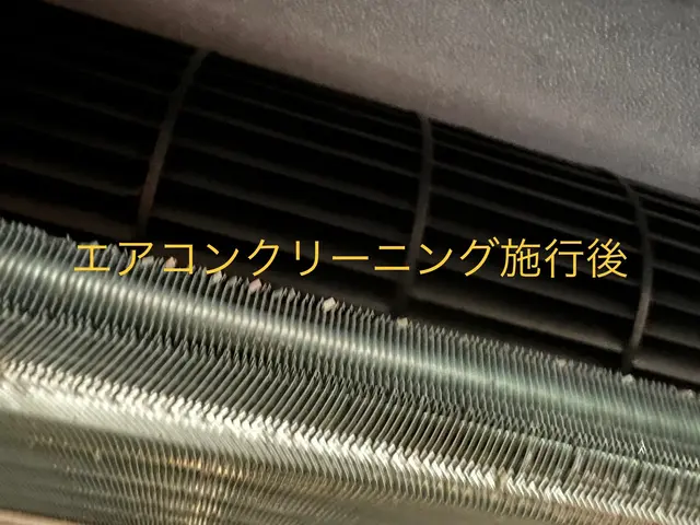 【家庭用ダイキン一方向二方向に特化】【消臭抗菌コート無料】【壁掛けも同時OK】サービスの画像